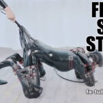 【HD】人間犬に改造されキキのペットとして生きていくことを決心したマオ